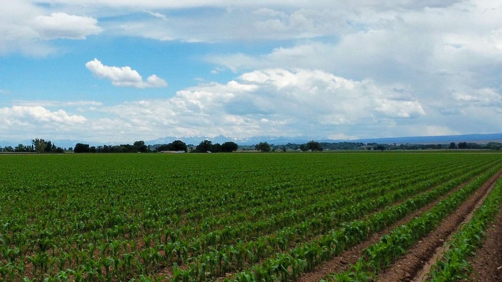 178 Acres of Agricultural Land for Sale in Delta, Colorado