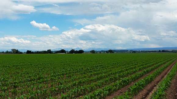 177.5 Acres of Agricultural Land for Sale in Delta, Colorado