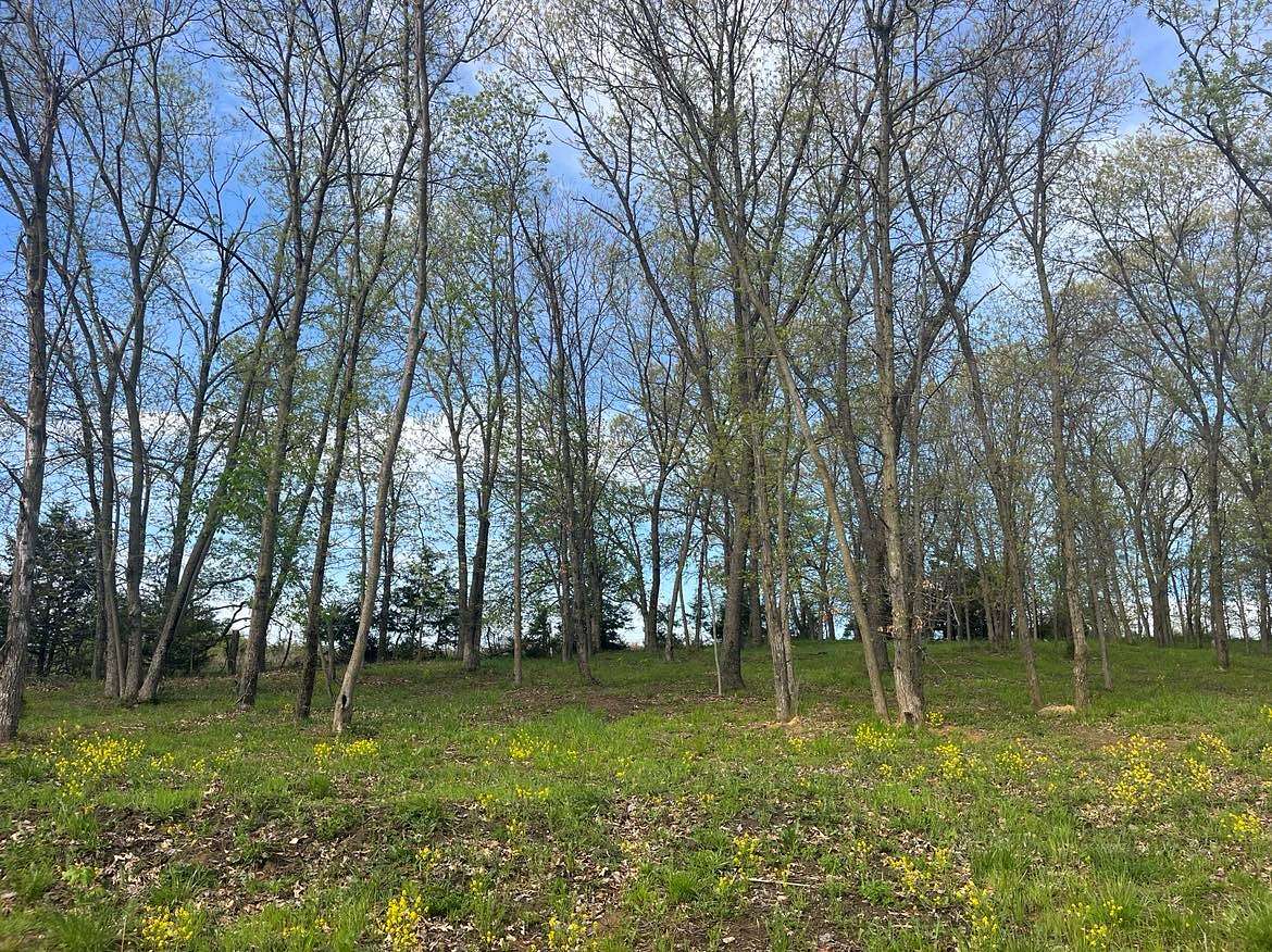 0.28 Acres of Land for Sale in Unionville, Missouri
