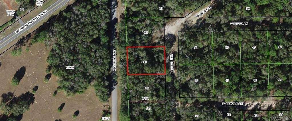 0.31 Acres of Land for Sale in Crystal River, Florida