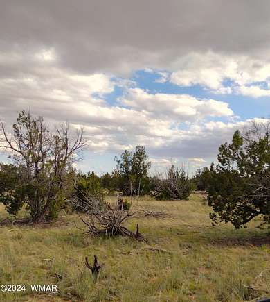 37.6 Acres of Land for Sale in St. Johns, Arizona