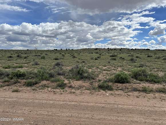 40.5 Acres of Recreational Land for Sale in St. Johns, Arizona