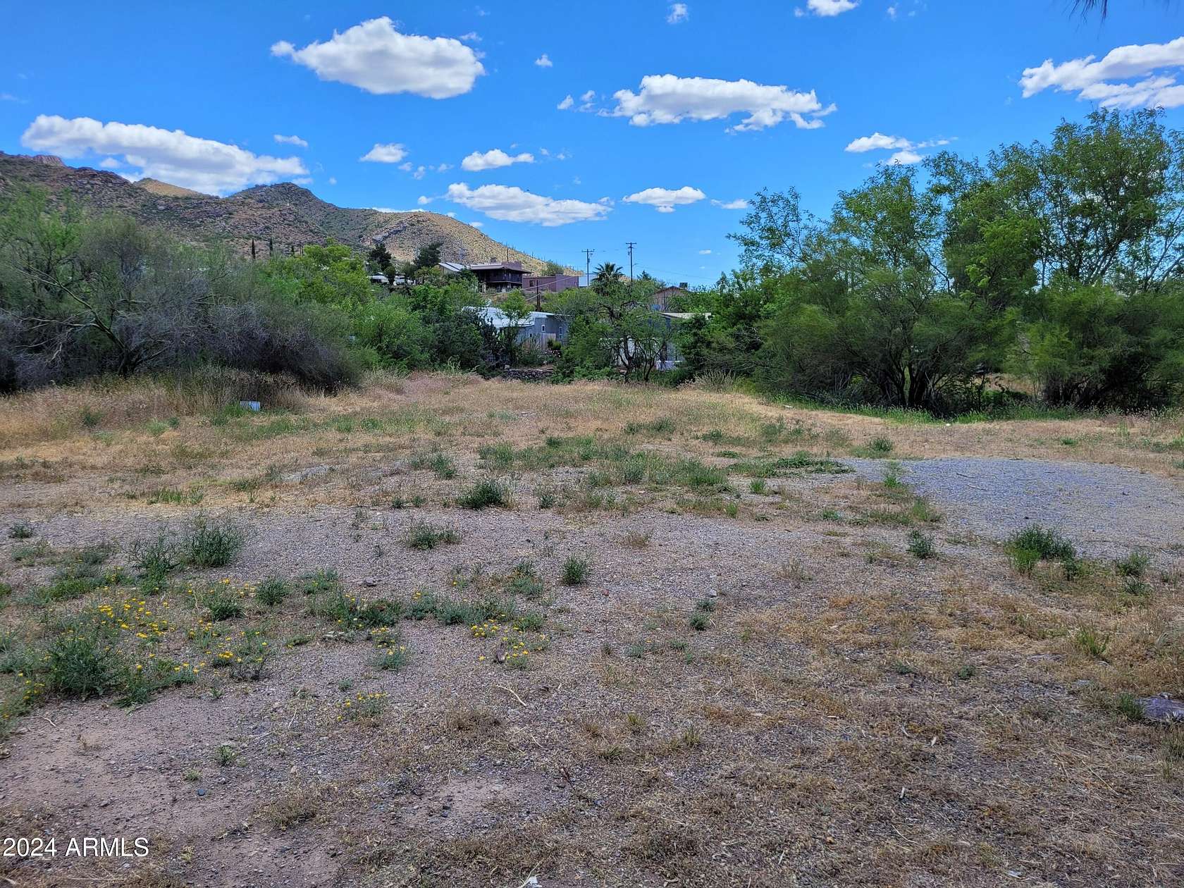 0.29 Acres of Land for Sale in Superior, Arizona