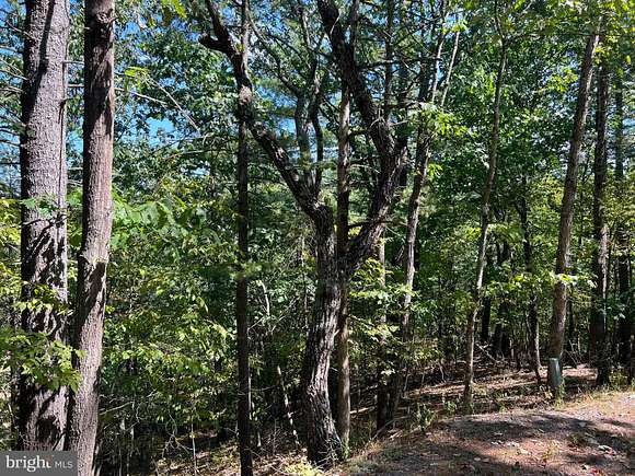 0.31 Acres of Residential Land for Sale in Basye, Virginia