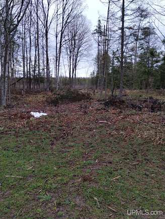 Residential Land for Sale in Carney, Michigan