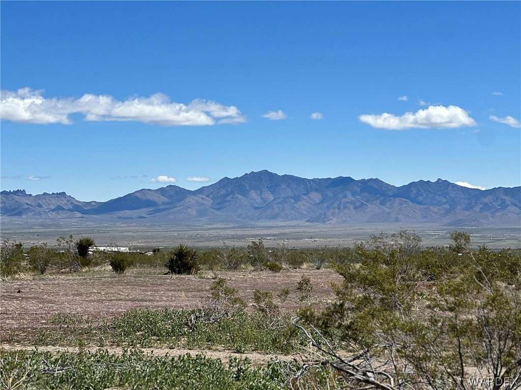 20 Acres of Agricultural Land for Sale in Dolan Springs, Arizona