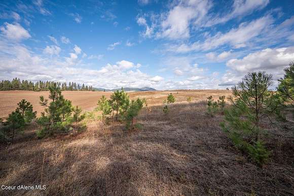 10 Acres of Recreational Land for Sale in Worley, Idaho