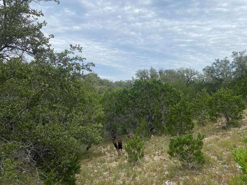 1 Acre of Residential Land for Sale in Concan, Texas