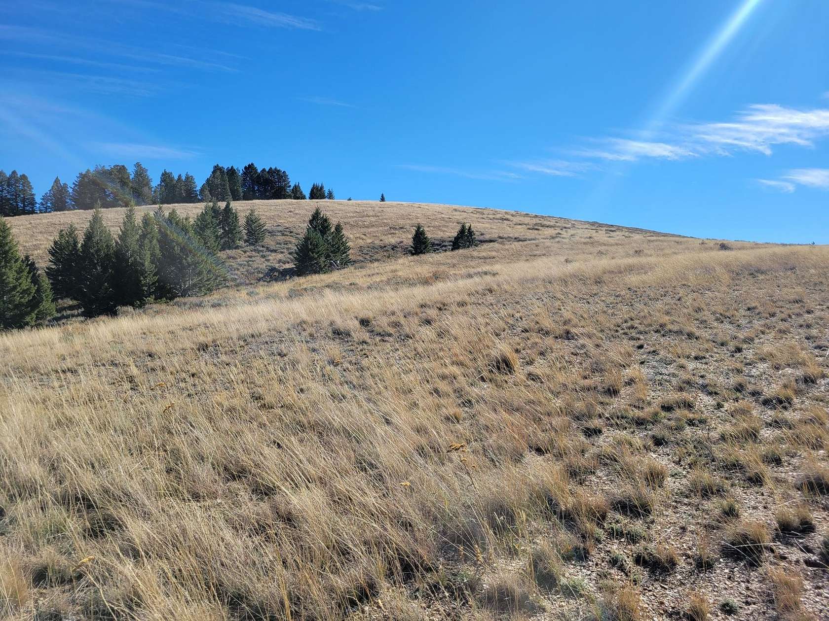 20.25 Acres of Recreational Land for Sale in White Sulphur Springs, Montana