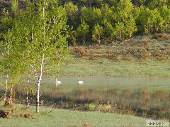 3.68 Acres of Residential Land for Sale in Ashton, Idaho - LandSearch