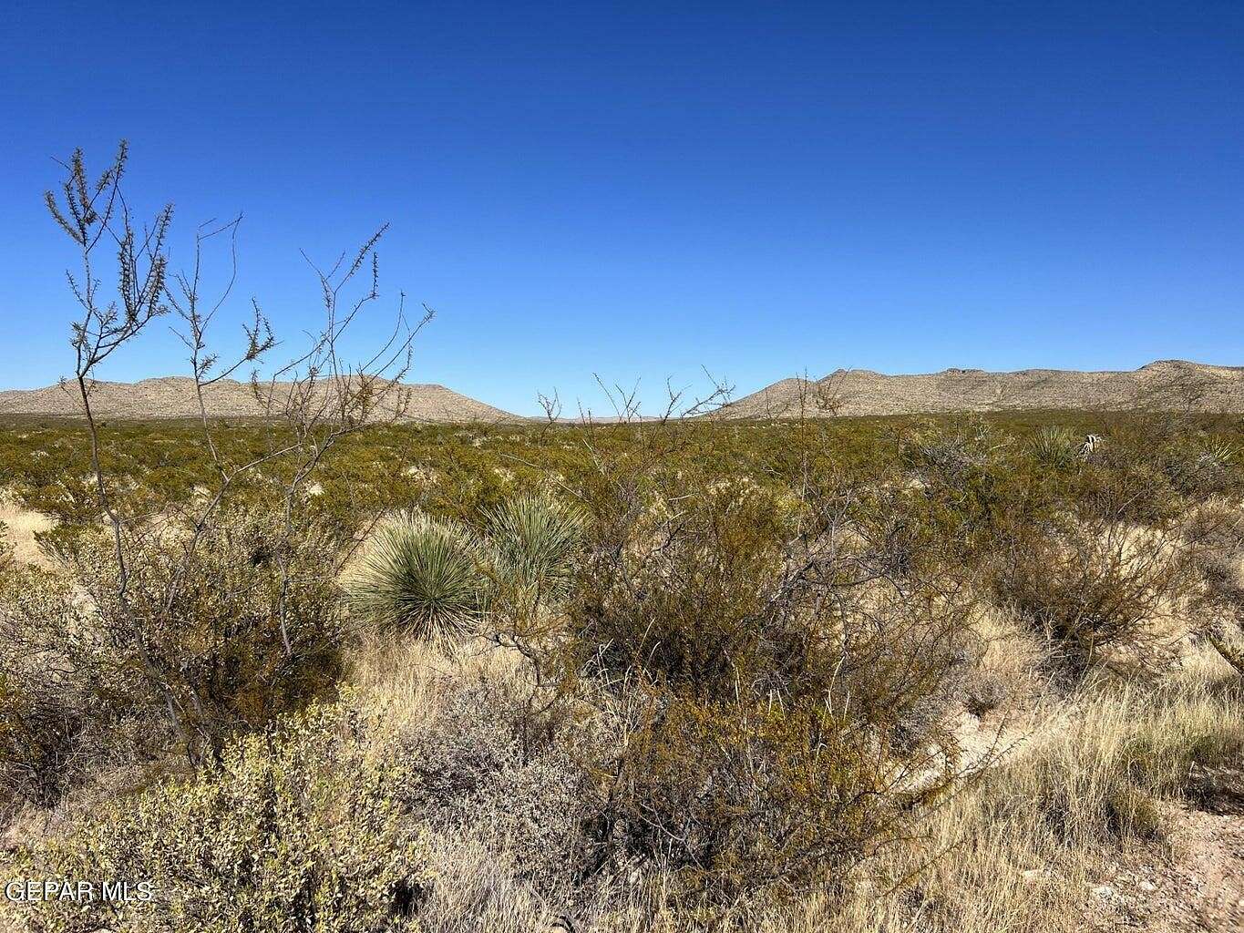 20 Acres of Recreational Land & Farm for Sale in Sierra Blanca, Texas