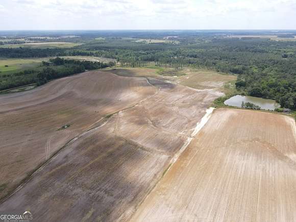 169 Acres of Agricultural Land for Sale in Sycamore, Georgia