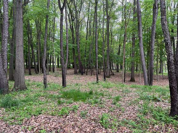 1.8 Acres of Residential Land for Sale in Morrice, Michigan