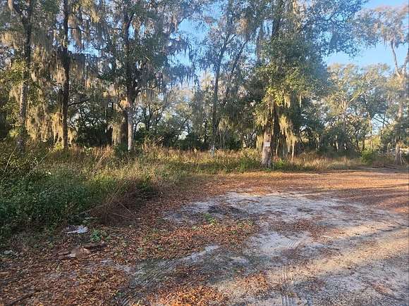 3 Acres of Residential Land for Sale in Apopka, Florida