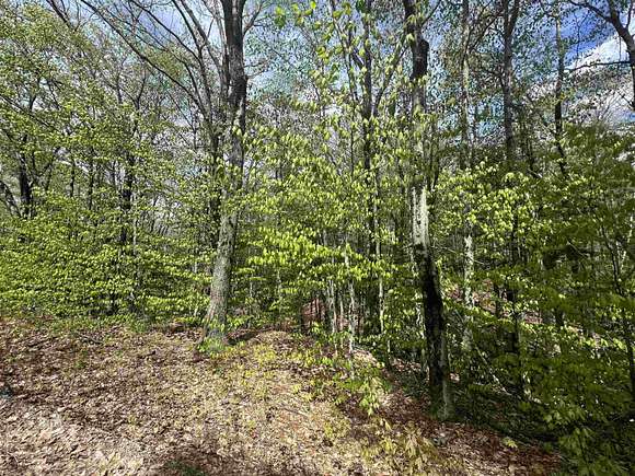 3 Acres of Residential Land for Sale in Bennington, New Hampshire