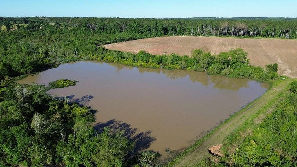 229.87 Acres of Recreational Land with Home for Sale in Meigs, Georgia