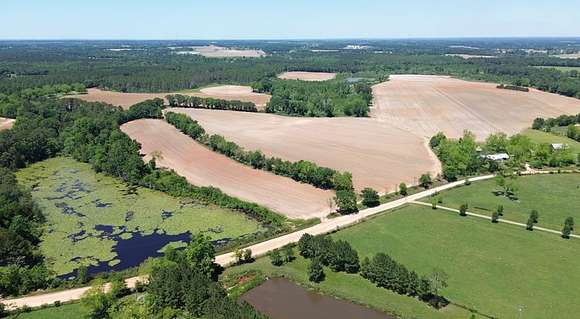 230 Acres of Agricultural Land for Sale in Meigs, Georgia