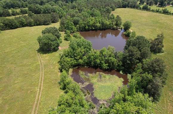 30 Acres of Agricultural Land for Sale in Tenaha, Texas