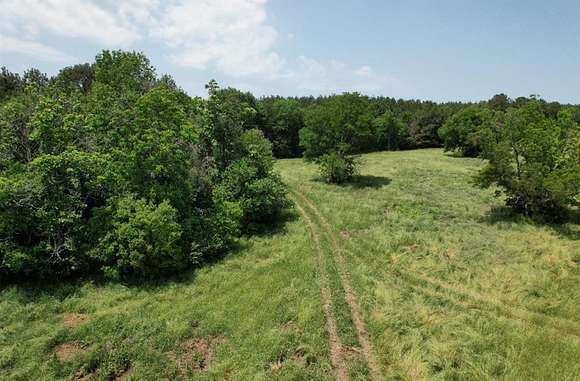 20 Acres of Agricultural Land for Sale in Tenaha, Texas