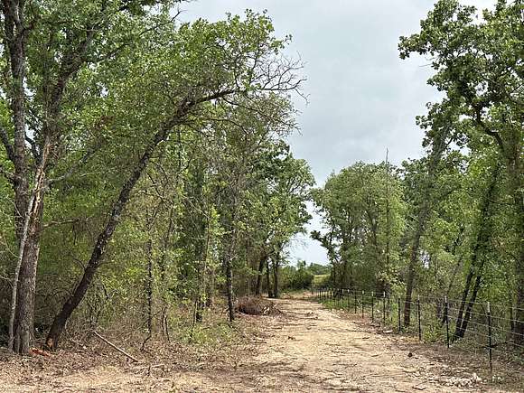 80.3 Acres of Recreational Land for Sale in Cisco, Texas