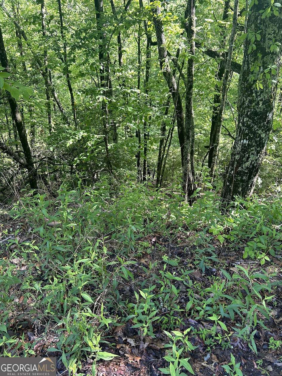 0.23 Acres of Residential Land for Sale in Clayton, Georgia