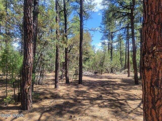 4.95 Acres of Residential Land for Sale in Show Low, Arizona