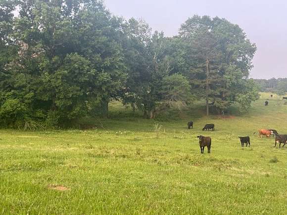 25.5 Acres of Recreational Land & Farm for Sale in Nacogdoches, Texas ...