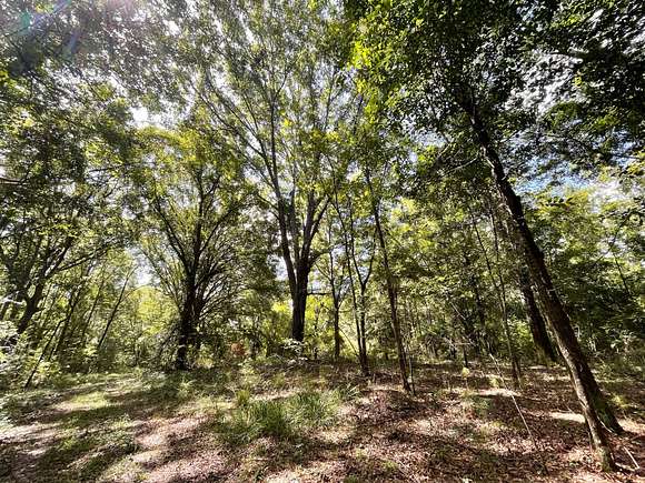 30 Acres of Recreational Land for Sale in Union Springs, Alabama
