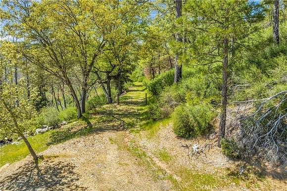 53.4 Acres of Land for Sale in Cobb, California