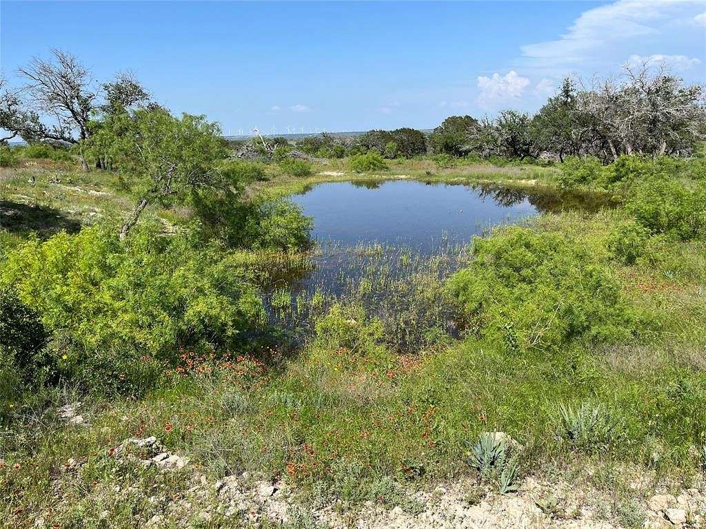20 Acres of Recreational Land for Sale in Goldthwaite, Texas