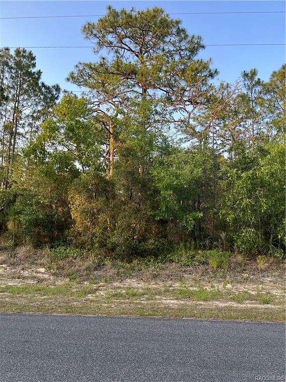 0.29 Acres of Land for Sale in Citrus Springs, Florida