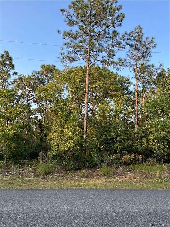 0.29 Acres of Land for Sale in Citrus Springs, Florida