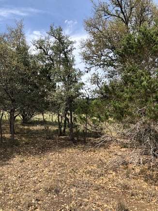 Land for Sale in Uvalde, Texas