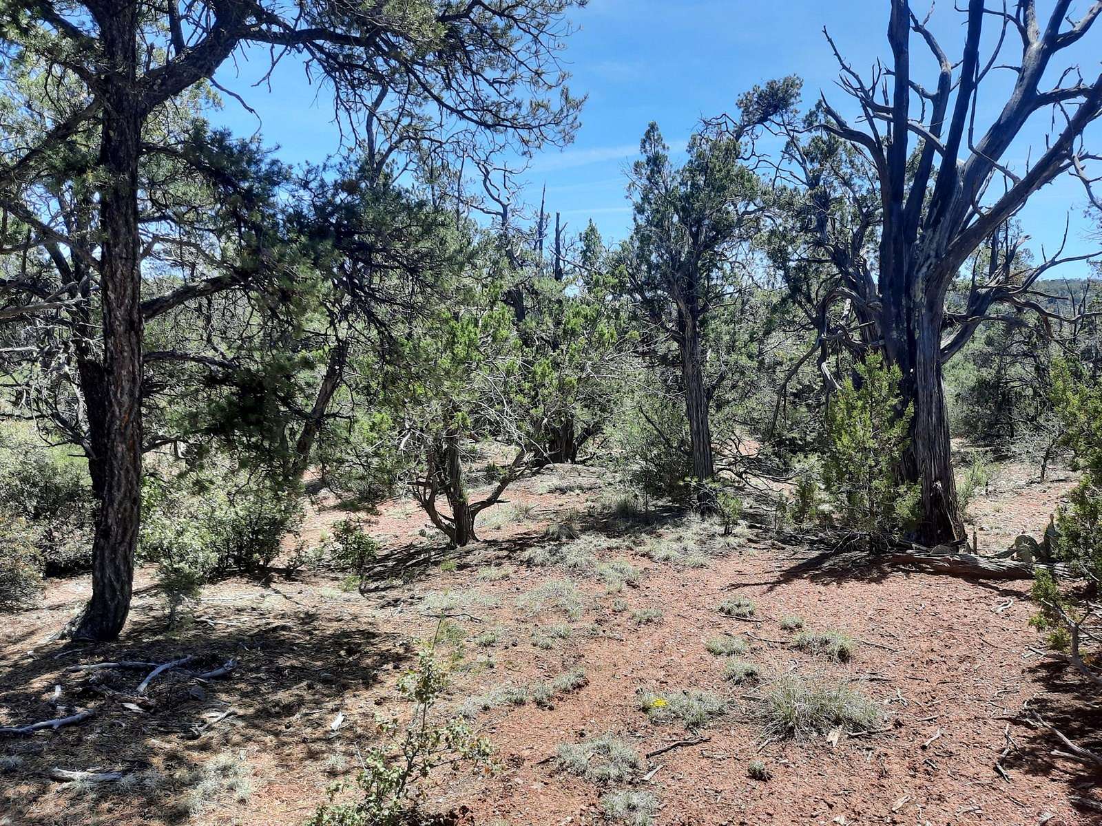 1 Acre of Land for Sale in Seligman, Arizona