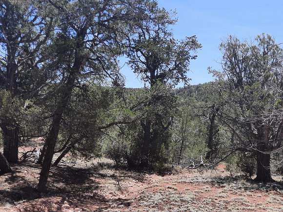 0.99 Acres of Land for Sale in Seligman, Arizona