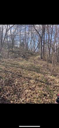 38.9 Acres of Land for Sale in Olive Hill, Kentucky