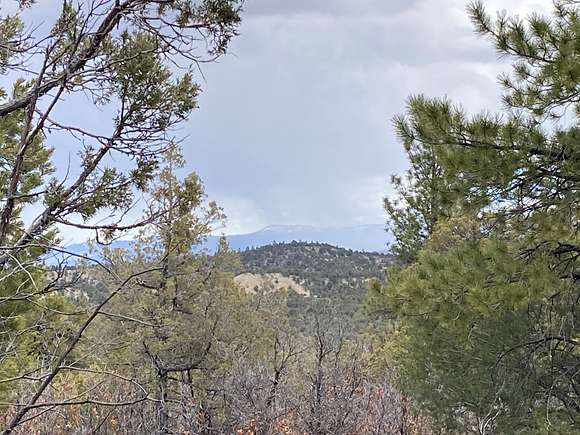 4.5 Acres of Recreational Land & Farm for Sale in Tierra Amarilla, New Mexico