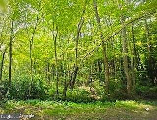 11 Acres of Land for Sale in Ridgely, Maryland
