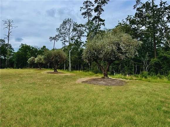 1.5 Acres of Residential Land for Sale in Covington, Louisiana