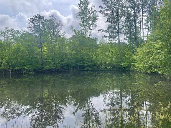 27 Acres of Land for Sale in Detroit, Alabama