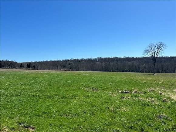 10.5 Acres of Recreational Land for Sale in Caneadea, New York
