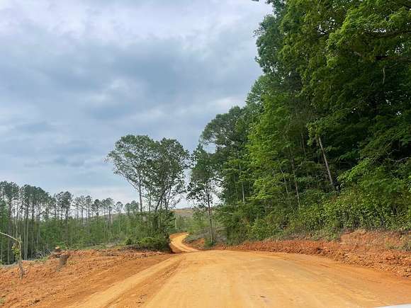 311 Acres of Recreational Land & Farm for Sale in McCool, Mississippi