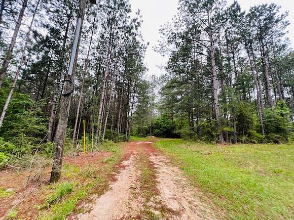 275 Acres of Recreational Land & Farm for Sale in Tylertown, Mississippi