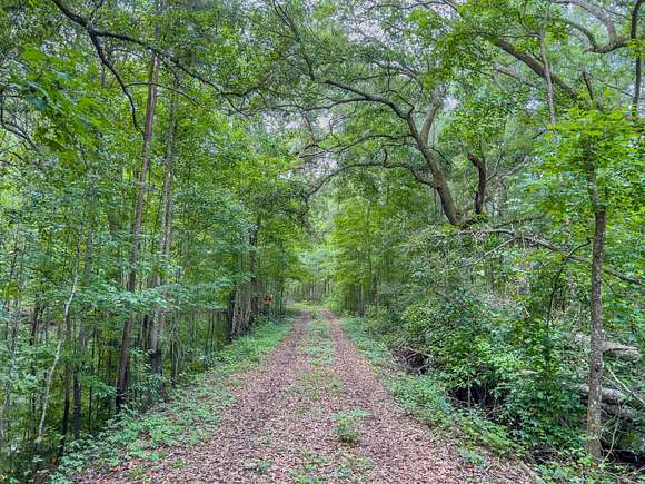 106 Acres of Recreational Land for Sale in Lamont, Florida