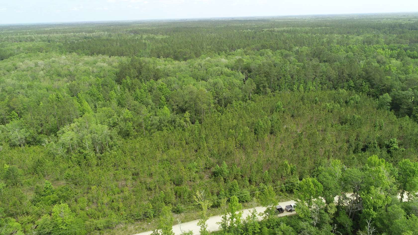 33 Acres of Recreational Land for Sale in Greenville, Florida