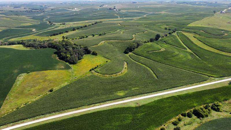 50.02 Acres of Agricultural Land for Sale in Exira, Iowa