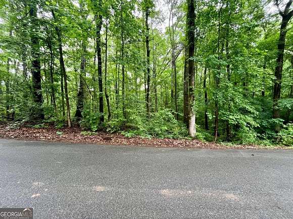 0.7 Acres of Residential Land for Sale in Monticello, Georgia