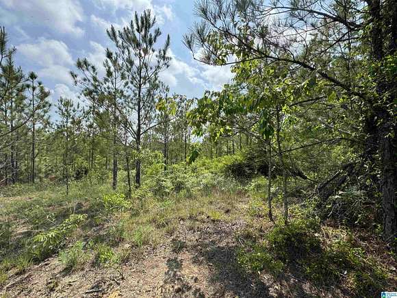 4.2 Acres of Land for Sale in Stanton, Alabama