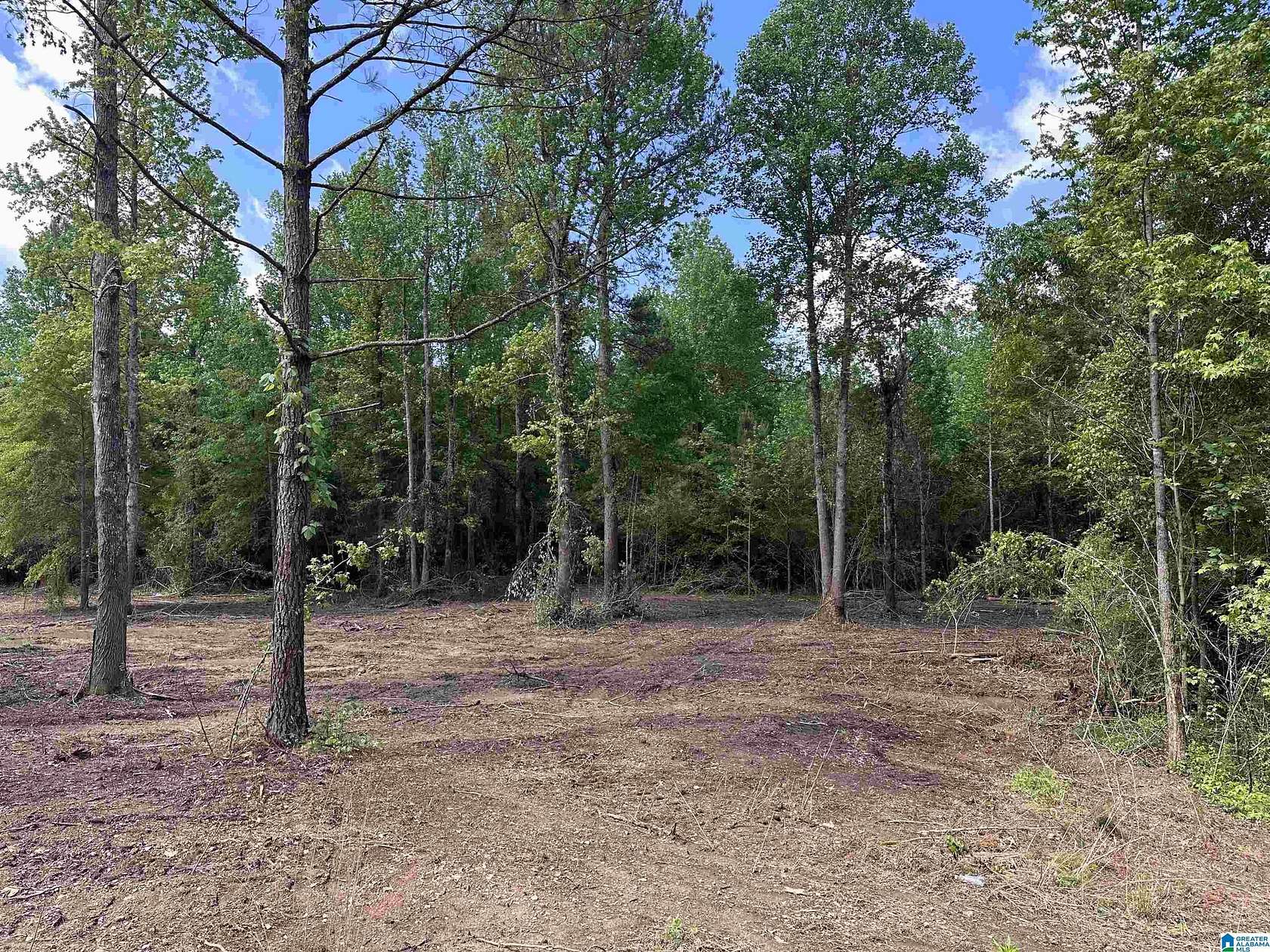 1.02 Acres of Residential Land for Sale in Wellington, Alabama