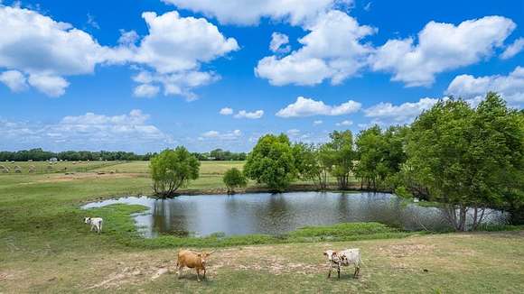 10.3 Acres of Land for Sale in Point, Texas